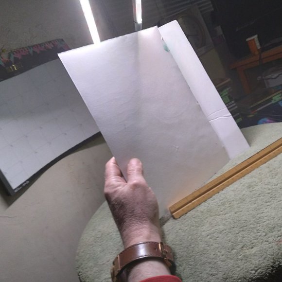 The Women and a flower - art of world known artist Paola Alvial 2019 - Picture 4 of 5